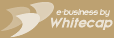 e-Business by Whitecap